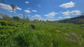 Продава  Парцел област Пловдив , с. Брестник , 863 кв.м | 14180636