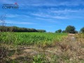 Продава ПАРЦЕЛ, с. Драганово, област Добрич, снимка 6
