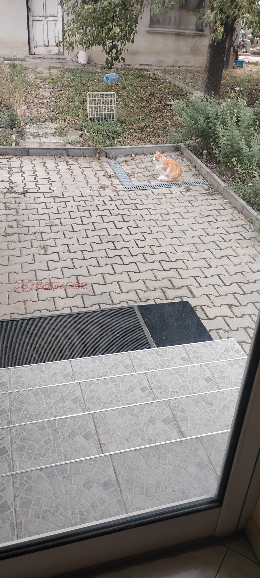 ������� ���� | Imot.bg � ����������� 11