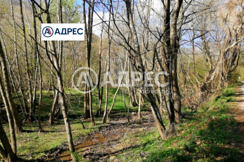 For Sale  Plot region Blagoevgrad , Sandanski , 5784 sq.m | 67924424 - image [4]