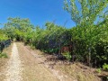 Продава ПАРЦЕЛ, град Русе, в.з. Липака • 18000 лв. • 30548288 — Holmes.bg