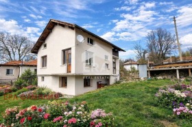 ������ ������� ����