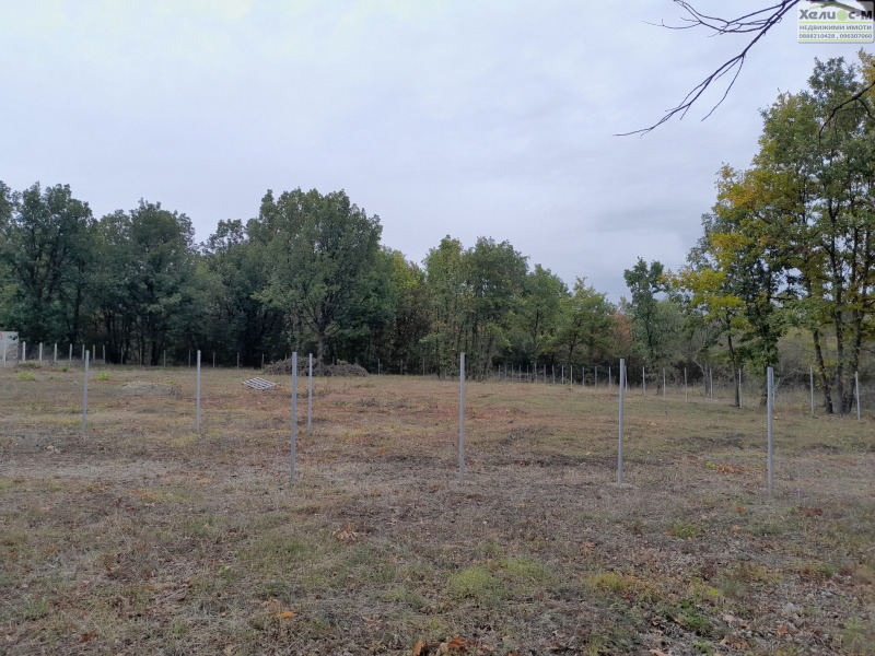 Te koop  Verhaallijn Montana , v.z. Zapad , 1900 m² | 53248425 - afbeelding [11]