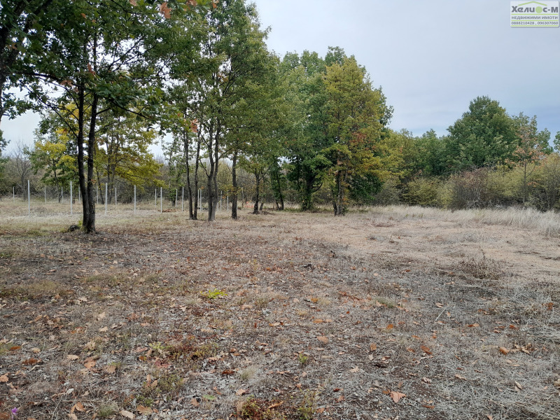 Te koop  Verhaallijn Montana , v.z. Zapad , 1900 m² | 53248425 - afbeelding [12]