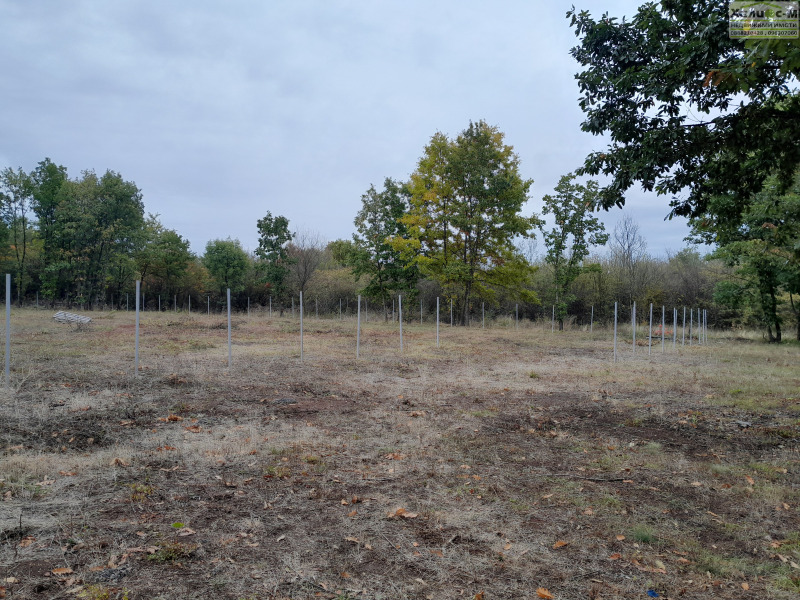 Te koop  Verhaallijn Montana , v.z. Zapad , 1900 m² | 53248425 - afbeelding [6]