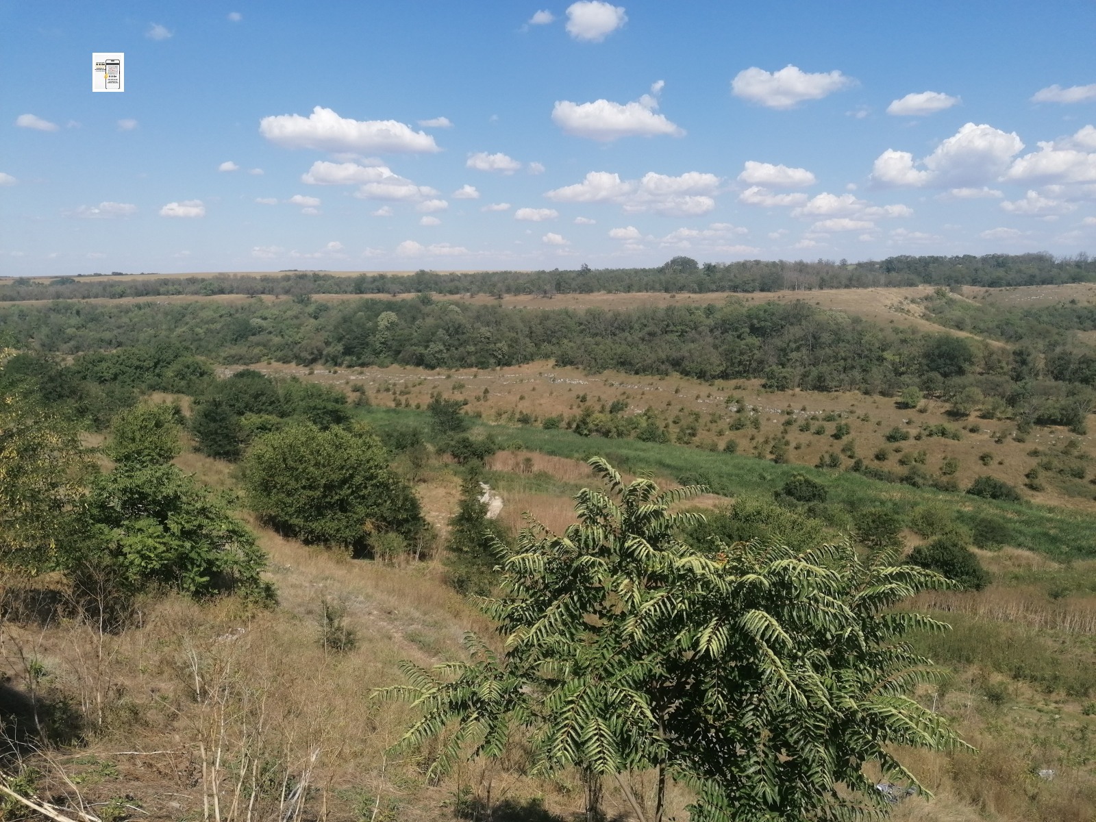 Продава КЪЩА, с. Камен, област Добрич, снимка 16 - Къщи - 55775794