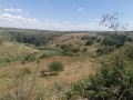 Продава КЪЩА, с. Камен, област Добрич, снимка 15