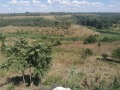 Продава КЪЩА, с. Камен, област Добрич, снимка 17