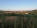 Продава КЪЩА, с. Камен, област Добрич, снимка 9