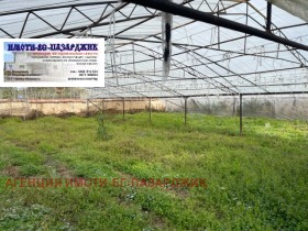 Продажба на имоти в с. Огняново, област Пазарджик - изображение 2 