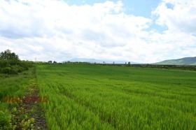 ������� ������ | Imot.bg � ����� ������ 5