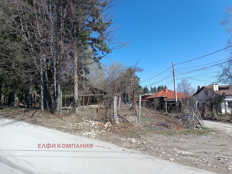 Продаја  Плот Софија , Бистрица , 1180 м2 | 60843167 - слика [2]