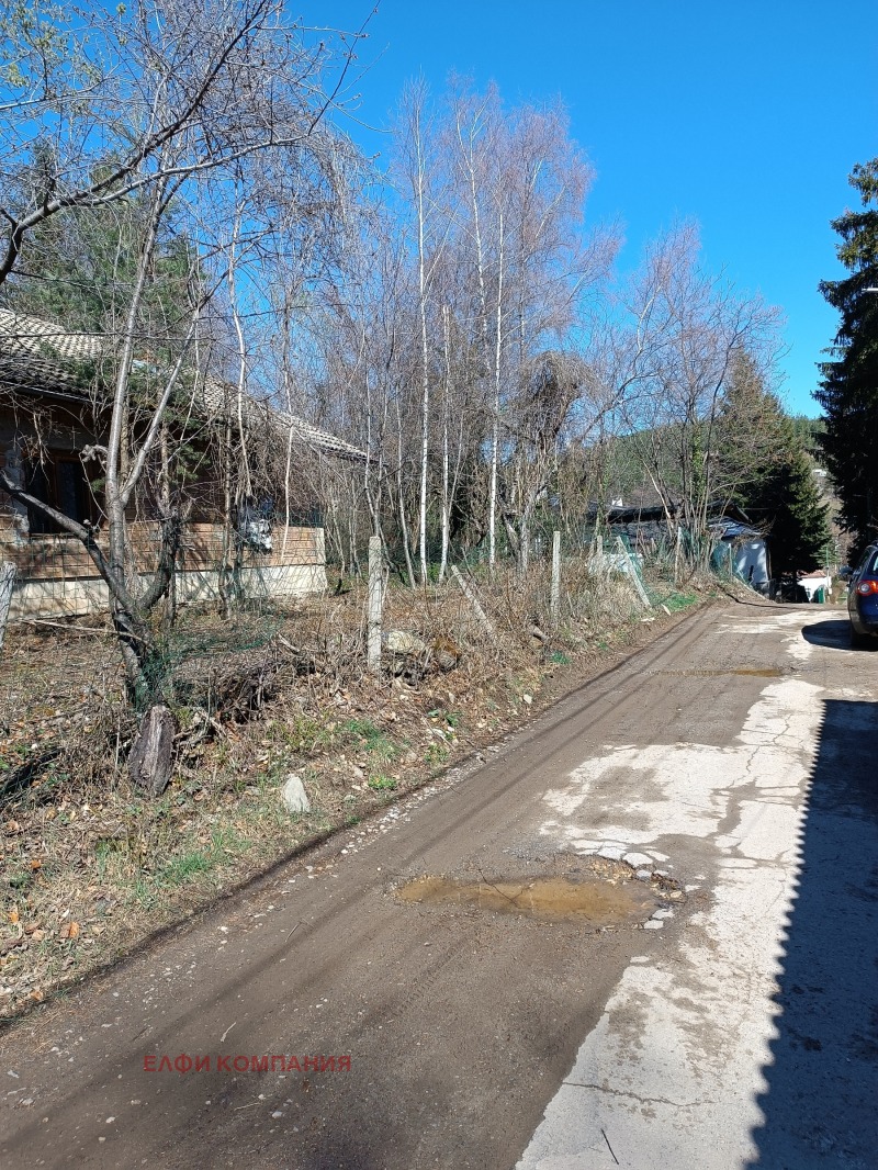 Продаја  Плот Софија , Бистрица , 1180 м2 | 60843167 - слика [4]