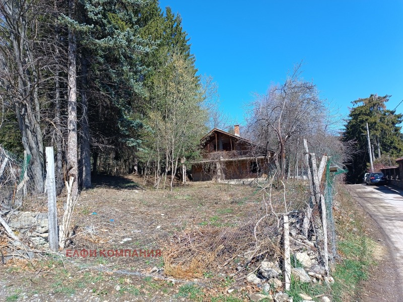 Продаја  Плот Софија , Бистрица , 1180 м2 | 60843167 - слика [3]