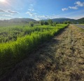 Продава ПАРЦЕЛ, гр. Троян, област Ловеч, снимка 4