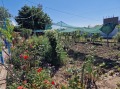 Продава КЪЩА, област Варна, с. Новаково • 70000 € • 89404868 — Holmes.bg