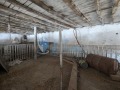 Продава ПРОМ. ПОМЕЩЕНИЕ, област Русе, гр. Борово • 53000 лв. • 36079740 — Holmes.bg