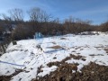 Продава ПРОМ. ПОМЕЩЕНИЕ, област Русе, гр. Борово • 53000 лв. • 36079740 — Holmes.bg