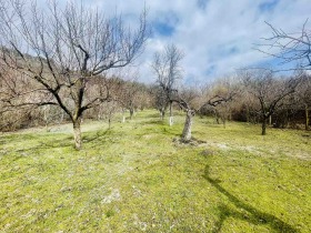 ПАРЦЕЛ, 1 000 m2