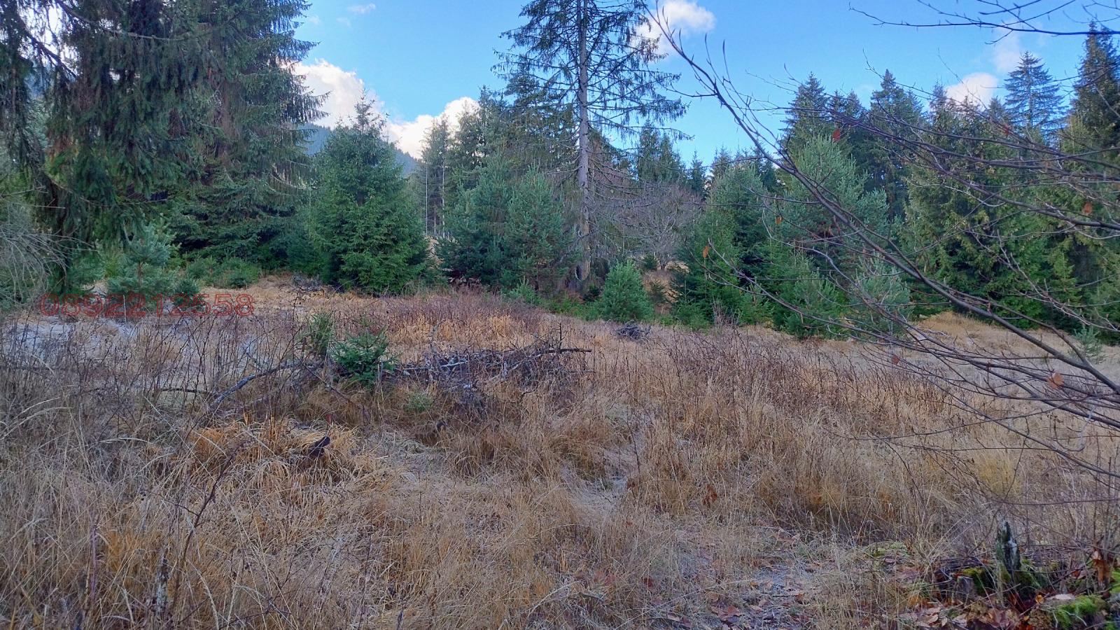 ������� ������ | Imot.bg � ����������� 11