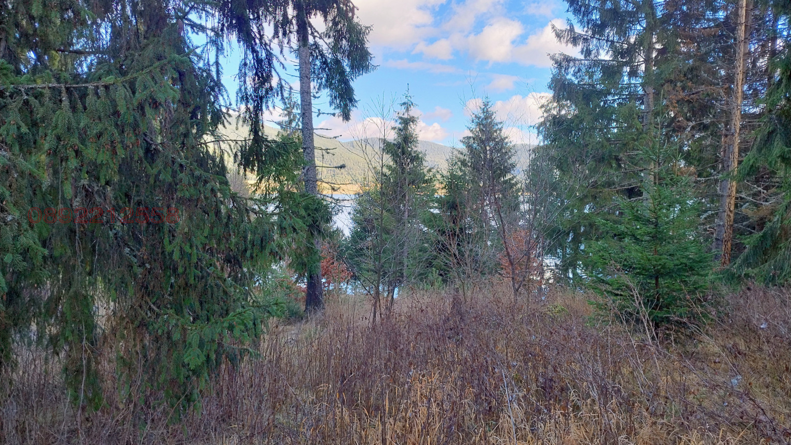 ������� ������ | Imot.bg � ����������� 4