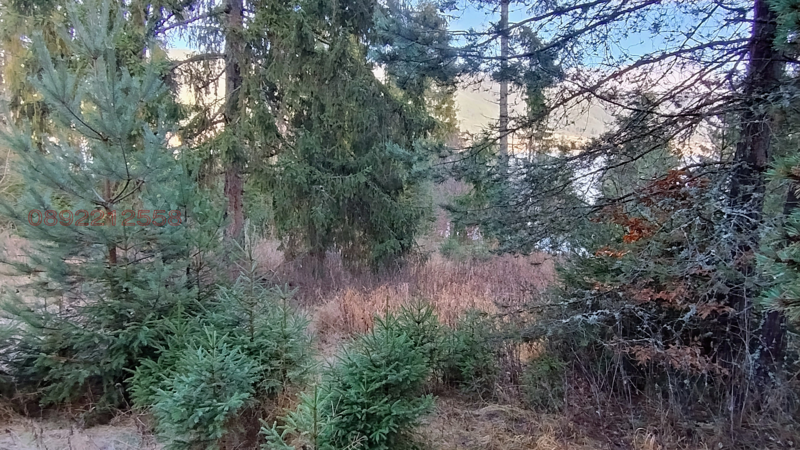 ������� ������ | Imot.bg � ����������� 7