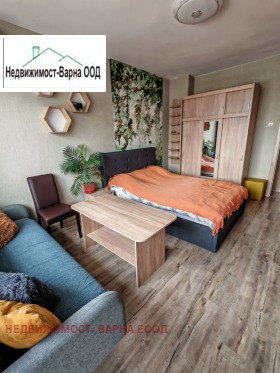 ����� ������� 3-�����,���� �����, �����