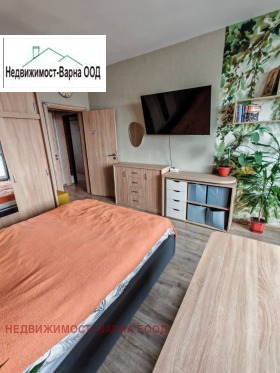 ����� ������� 3-�����,���� �����, �����