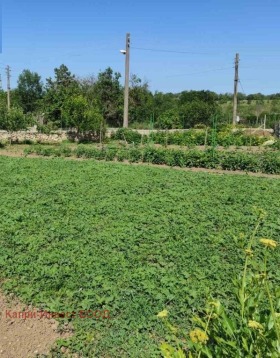 Парцел с. Ваклино, област Добрич 1