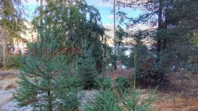 ������� ������ | Imot.bg � ����� ������ 6