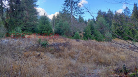 ������� ������ | Imot.bg � ����� ������ 11