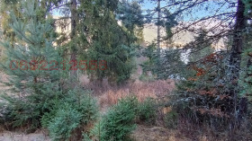 ������� ������ | Imot.bg � ����� ������ 7