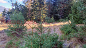 ������� ������ | Imot.bg � ����� ������ 10