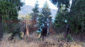 ������� ������ | Imot.bg � ����� ������ 9