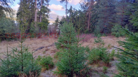 ������� ������ | Imot.bg � ����� ������ 2