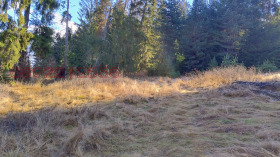 ������� ������ | Imot.bg � ����� ������ 8