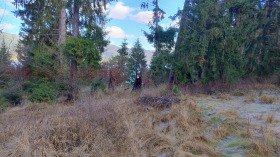 ������� ������ | Imot.bg � ����� ������ 3