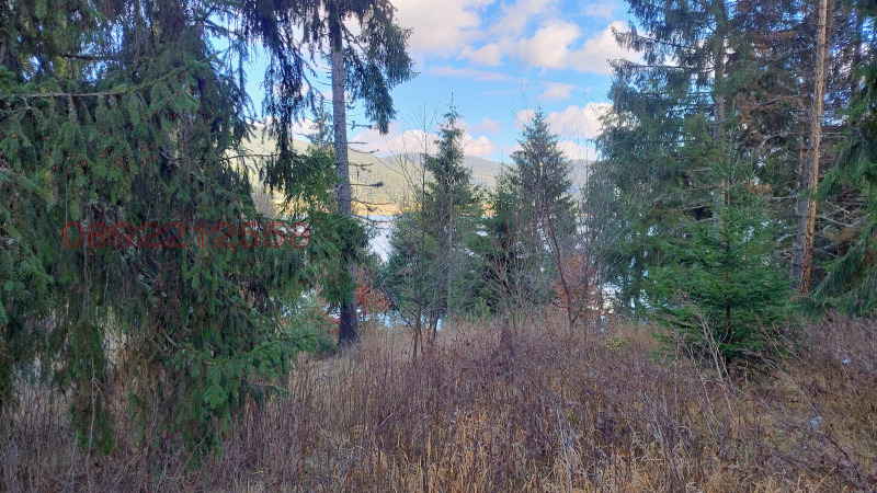 Продава ПАРЦЕЛ, гр. Сърница, област Пазарджик, снимка 3 - Парцели - 52784906