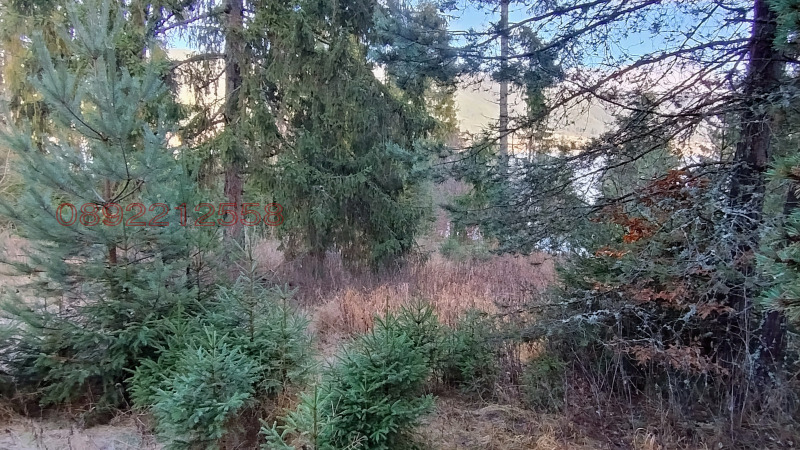 Продава ПАРЦЕЛ, гр. Сърница, област Пазарджик, снимка 6 - Парцели - 52784906