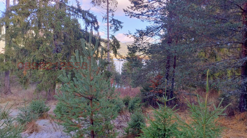 Продава ПАРЦЕЛ, гр. Сърница, област Пазарджик, снимка 4 - Парцели - 52784906