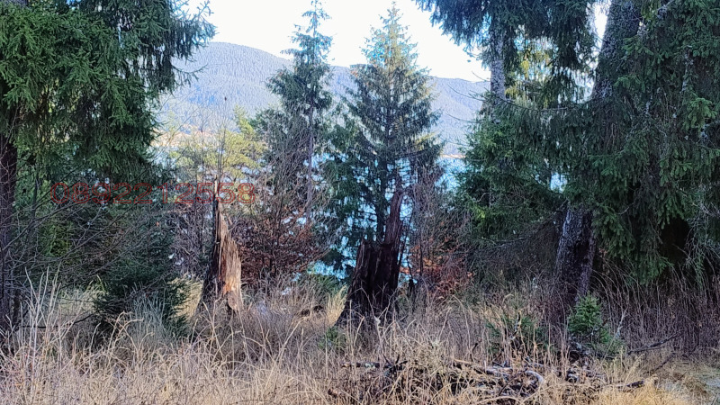 Продава ПАРЦЕЛ, гр. Сърница, област Пазарджик, снимка 8 - Парцели - 52784906