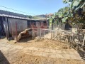Продава КЪЩА, област Добрич, гр. Генерал Тошево • 69000 лв. • 32152430 — Holmes.bg