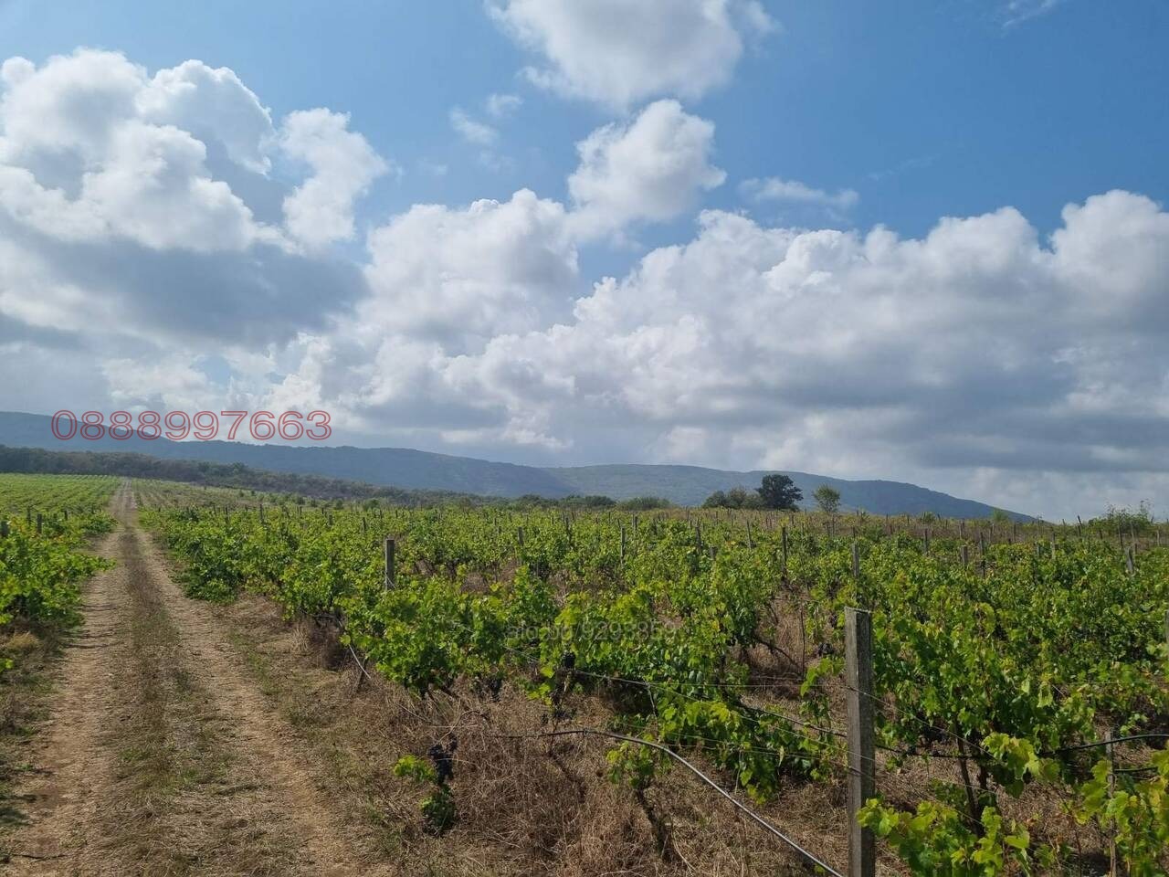 ������� ���������� ���� | Imot.bg � ����������� 1