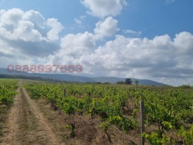 ����� ������� ���������� ����,��. ������, ������ ������