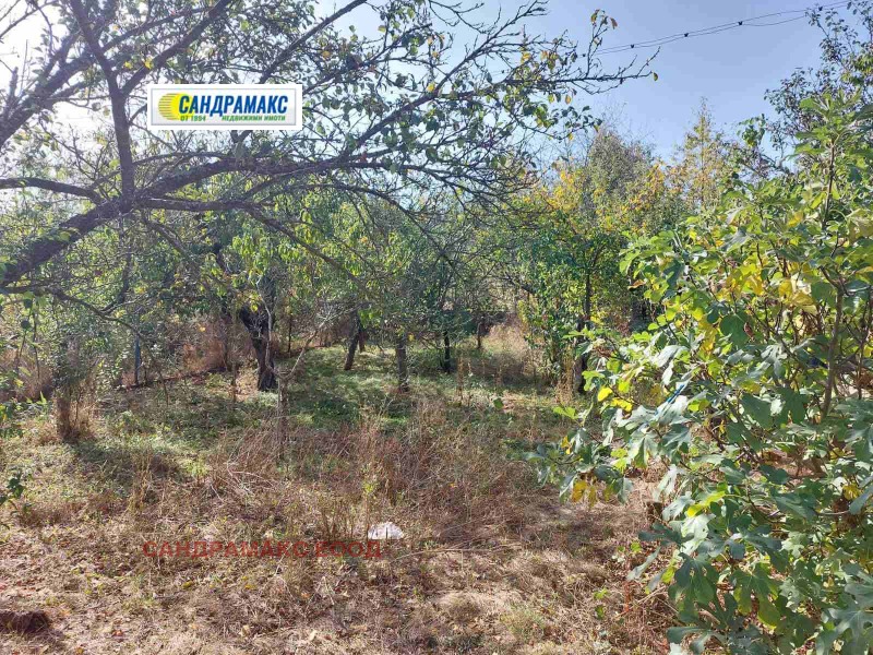 Продава КЪЩА, с. Скриняно, област Кюстендил, снимка 11 - Къщи - 53118651