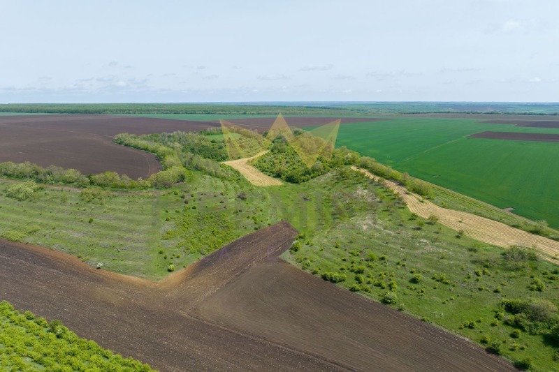 Продава ЗЕМЕДЕЛСКА ЗЕМЯ, с. Телериг, област Добрич, снимка 2 - Земеделска земя - 52825325