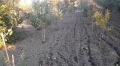 Продава  Многостаен област Монтана , гр. Лом , 100 кв.м | 39423551 - изображение [11]