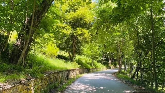 Προς πώληση  σπίτι περιοχή Σμόλιαν , Λεβοτσεβο , 236 τ.μ | 61508581 - εικόνα [11]