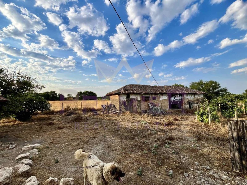 Продава КЪЩА, с. Змеево, област Добрич, снимка 16 - Къщи - 52824620