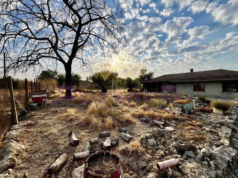 Продава КЪЩА, с. Змеево, област Добрич, снимка 14 - Къщи - 52824620